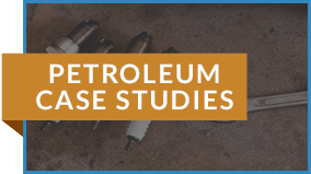 Petroleum Remediation Case Studies