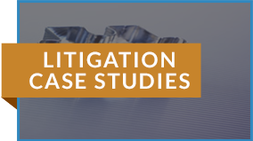 Environmental Litigation Case Studies